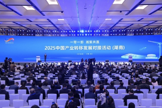 zI(y)2025Їa(chn)I(y)D(zhun)ưl(f)չ(du)ӻ(dng)ϣ